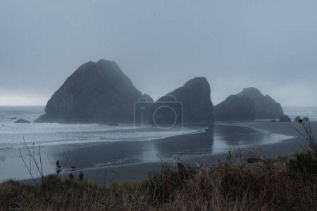 Téléchargez les photos : Paysage marin pittoresque de la plage de sable avec des piles de mer dans le brouillard, Meyers Creek Beach, sud de l'Oregon - en image libre de droit