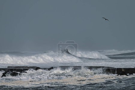 Téléchargez les photos : Strong waves crash on a jetty at the Oregon Coast. - en image libre de droit