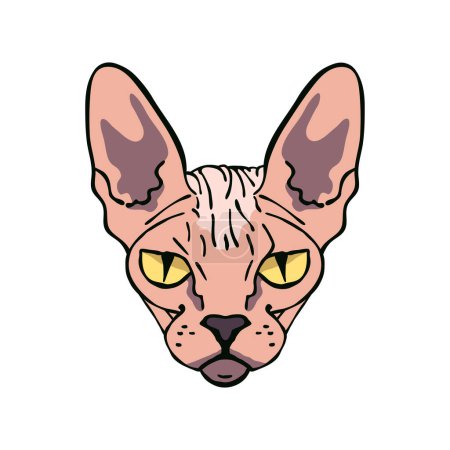 Téléchargez les illustrations : Portrait de chat Sphynx. Illustration vectorielle dessinée main. Conception de couleur plate. - en licence libre de droit