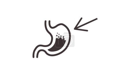 Ilustración de Icono del estómago. La ilustración vectorial aislada del estómago - Imagen libre de derechos