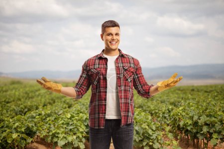 Photo for Happy young farmer with gloves posing on a grape vine field - Royalty Free Image