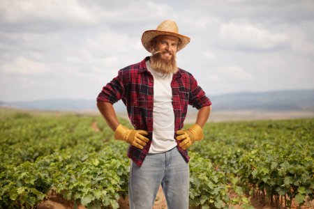 Téléchargez les photos : Fermier barbu avec des gants et un chapeau de paille debout sur un champ de vigne pépinière - en image libre de droit