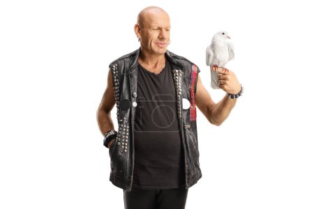 Photo for Bald punk with a white dove on his hand isolated on white background - Royalty Free Image