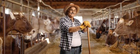 Photo for Mature man with a straw hat leaning on a wooden stick inside a cow farm - Royalty Free Image