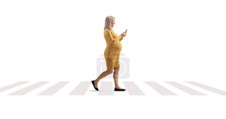 Photo for Pregnant woman walking on a pedestrian crossing and using a smartphone isolated on white background - Royalty Free Image