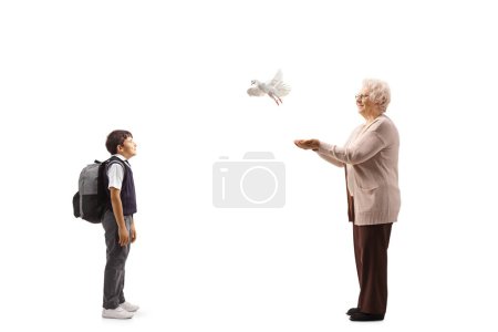 Téléchargez les photos : Full length profile shot of a schoolboy watching an elderly woman letting a dove fly isolated on white background - en image libre de droit
