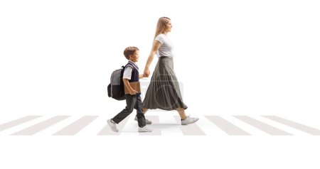 Photo for Mother taking son to school and crossing street at a pedestrian zebra sign isolated on white background - Royalty Free Image
