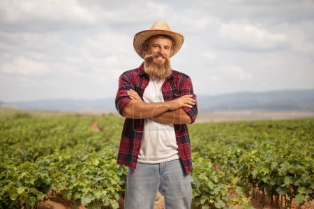 Téléchargez les photos : Fermier avec un chapeau de paille posant sur un champ de vigne - en image libre de droit