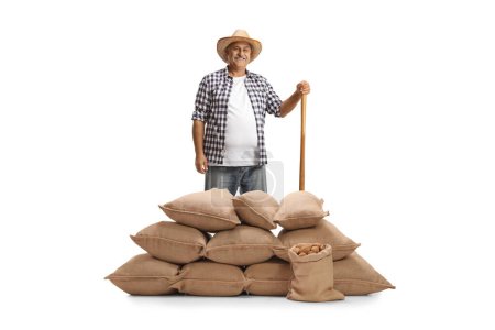 Téléchargez les photos : Fermier souriant debout derrière des sacs de pommes de terre en toile de jute isolés sur fond blanc - en image libre de droit