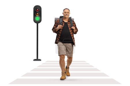 Photo for Full length portrait of a cheerful mature hiker carrying a backpack and crossing street at pedestrian zebra isolated on white background - Royalty Free Image