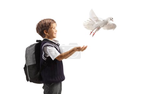 Téléchargez les photos : Plan du profil d'un écolier laissant voler une colombe blanche de ses mains isolées sur fond blanc - en image libre de droit