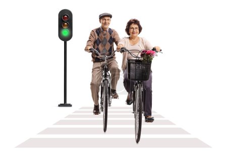 Photo for Elderly man and woman riding bicycles at a pedestrian crosswalk isolated on white background - Royalty Free Image
