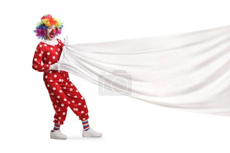Photo for Clown pulling a big white cloth isolated on white background - Royalty Free Image