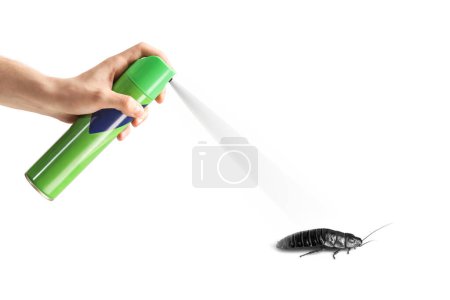 Foto de Male hand spraying a cockroach isolated on white background - Imagen libre de derechos