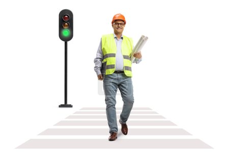 Photo for Mature male engineer holding blueprints and walking at a pedestrian crosswalk isolated on white background - Royalty Free Image