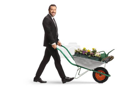 Téléchargez les photos : Photo de profil pleine longueur d'un homme d'affaires poussant une brouette avec des fleurs et arrosoir isolé sur fond blanc - en image libre de droit