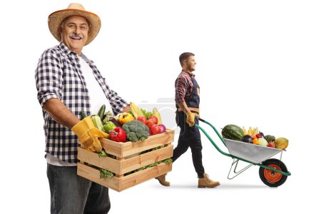 Foto de Granjero maduro sosteniendo una caja con frutas y verduras y un hombre más joven empujando una carretilla aislada sobre fondo blanco - Imagen libre de derechos