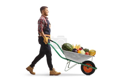 Photo for Full length profile shot of a farmer pushing a wheelbarrow with fruits and vegetables isolated on white background - Royalty Free Image