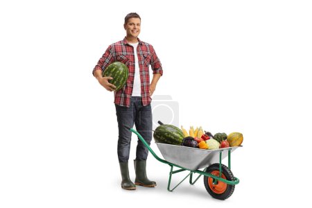 Téléchargez les photos : Fermier tenant une pastèque et se tenant derrière une brouette isolée sur fond blanc - en image libre de droit