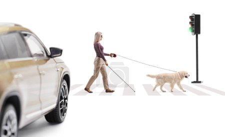 Photo for Car waiting at pedestrian crossing and a young blind woman with a dog on a lead crossing the street isolated on white background - Royalty Free Image