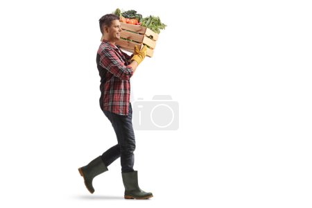 Photo for Full length profile shot of a male farmer carrying a crate with vegetables on his shoulder isolated on white background - Royalty Free Image