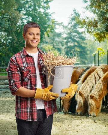 Téléchargez les photos : Fermier tenant un seau avec du foin sur une ferme de chevaux - en image libre de droit