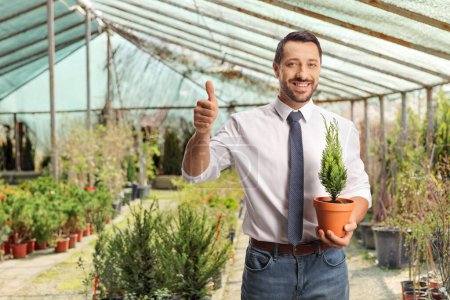 Photo for Businessman in a greenhouse holding a small evergreen tree in a pot and gesturing thumbs up - Royalty Free Image