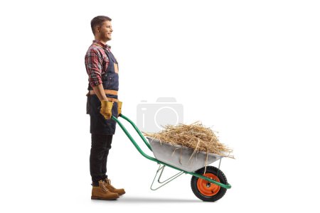 Photo for Full length profile shot of a farmer with hay in a wheelbarrow isolated on white background - Royalty Free Image