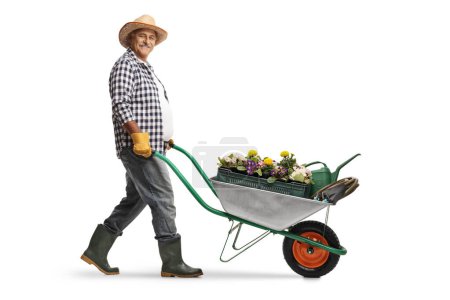 Téléchargez les photos : Plan complet d'un agriculteur mature poussant une brouette avec des plantes et un arrosoir isolé sur fond blanc - en image libre de droit
