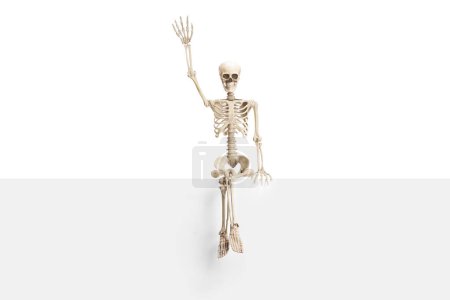 Photo for Human skeleton sitting on a blank panel and waving isolated on white background - Royalty Free Image