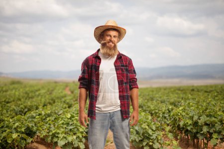 Photo for Farmer posing on a field with grapes - Royalty Free Image