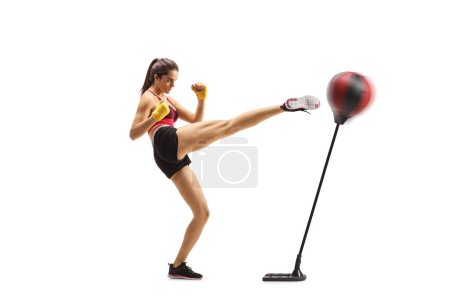 Foto de Young fit woman practicing kick box and hitting a punch stand isolated on white background - Imagen libre de derechos