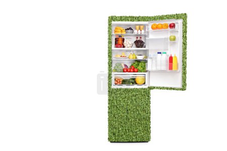Foto de Refrigerador verde de bajo consumo hecho de hierba con alimentos aislados sobre fondo blanco - Imagen libre de derechos