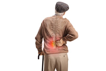 Foto de Vista trasera de un hombre mayor con un bastón sosteniendo su dolorosa espalda aislada sobre fondo blanco - Imagen libre de derechos