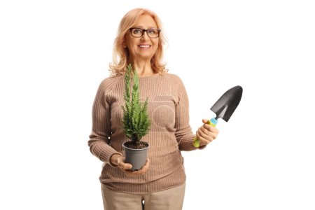 Photo for Mature woman holding a small evergreen tree in a pot and a spade isolated on white background - Royalty Free Image