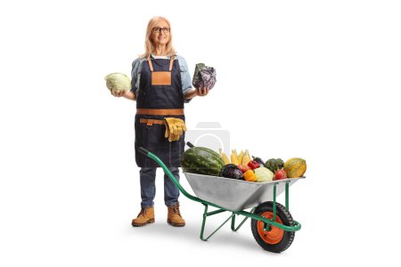 Téléchargez les photos : Agricultrice avec une brouette tenant des choux isolés sur fond blanc - en image libre de droit
