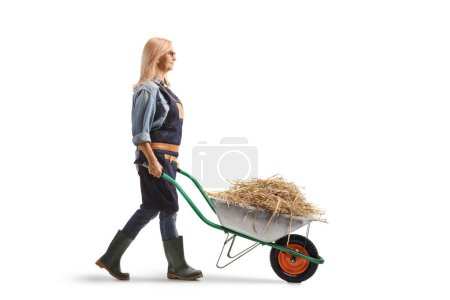Photo for Full length profile shot of a female farmer walking with hay in a wheelbarrow isolated on white background - Royalty Free Image