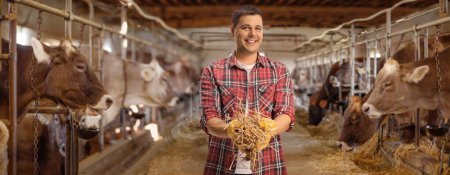 Foto de Joven sonriendo y sosteniendo una pila de heno dentro de una granja de vacas - Imagen libre de derechos