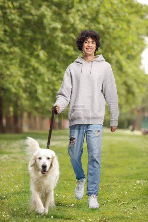 Photo for Guy walking a white retriever dog on a lead in a park - Royalty Free Image