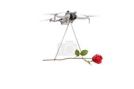 Photo for Aerial drone flying and delivering a red rose isolated on white background - Royalty Free Image