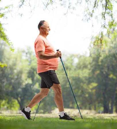 Photo for Full length profile shot of a mature man with walking poles in a park - Royalty Free Image