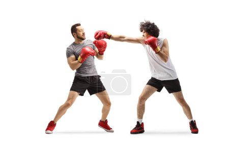 Téléchargez les photos : Jeunes hommes se battant avec des gants de boxe isolés sur fond blanc - en image libre de droit
