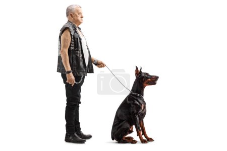 Photo for Full length profile shot of a mature punk with a doberman dog isolated on white background - Royalty Free Image