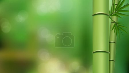 Illustration for Bamboo on blurred natural background, vector - Royalty Free Image