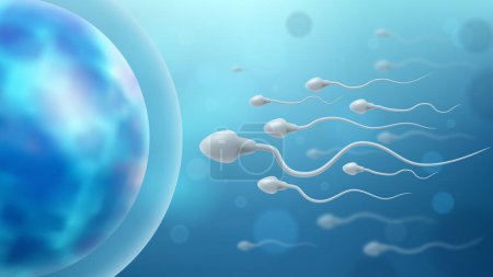 Illustration for Sperm and Egg Cell. Sperm Approaching Egg Cell. Sperm Swim to Ovum Cell. Laboratory Science Concept. Vector Illustration - Royalty Free Image