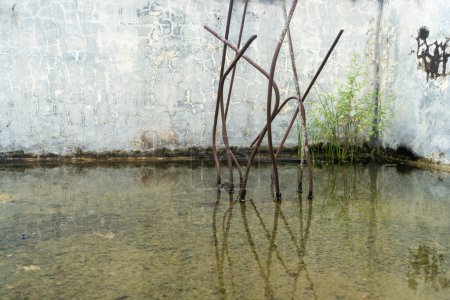 Standing water in abandoned buildings landscape close up