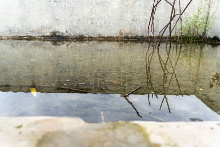 Foto de Standing water in abandoned buildings landscape close up - Imagen libre de derechos
