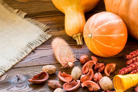 Photo for Pumpkins on wooden background and sackcloth  with autumn decorative dry pieces - Royalty Free Image