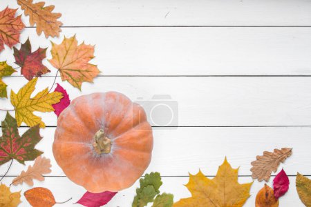 Photo for Pumpkin with fallen colorful leaves on white colored wooden table, top view, free space for text - Royalty Free Image