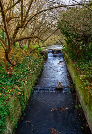 Foto de El río Beck con pequeñas cascadas en un frío día de invierno en Kelsey Park, Beckenham, Kent, Reino Unido. - Imagen libre de derechos